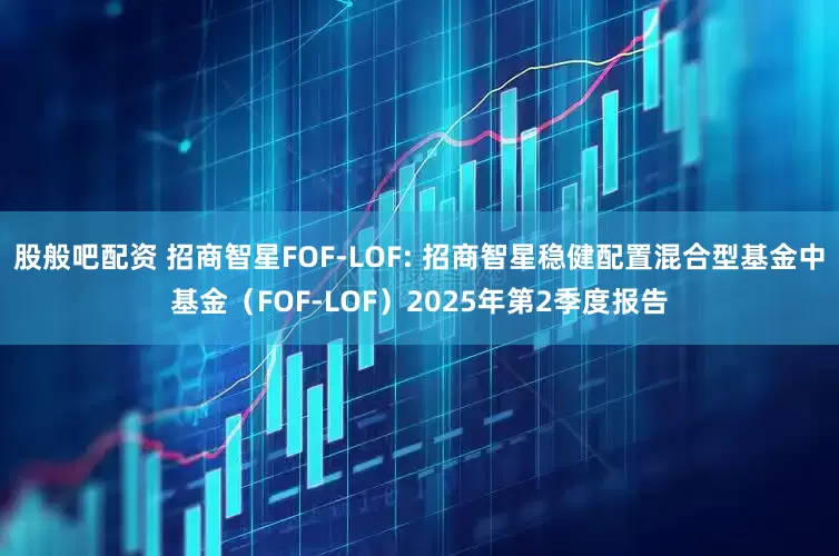 股般吧配资 招商智星FOF-LOF: 招商智星稳健配置混合型基金中基金（FOF-LOF）2025年第2季度报告